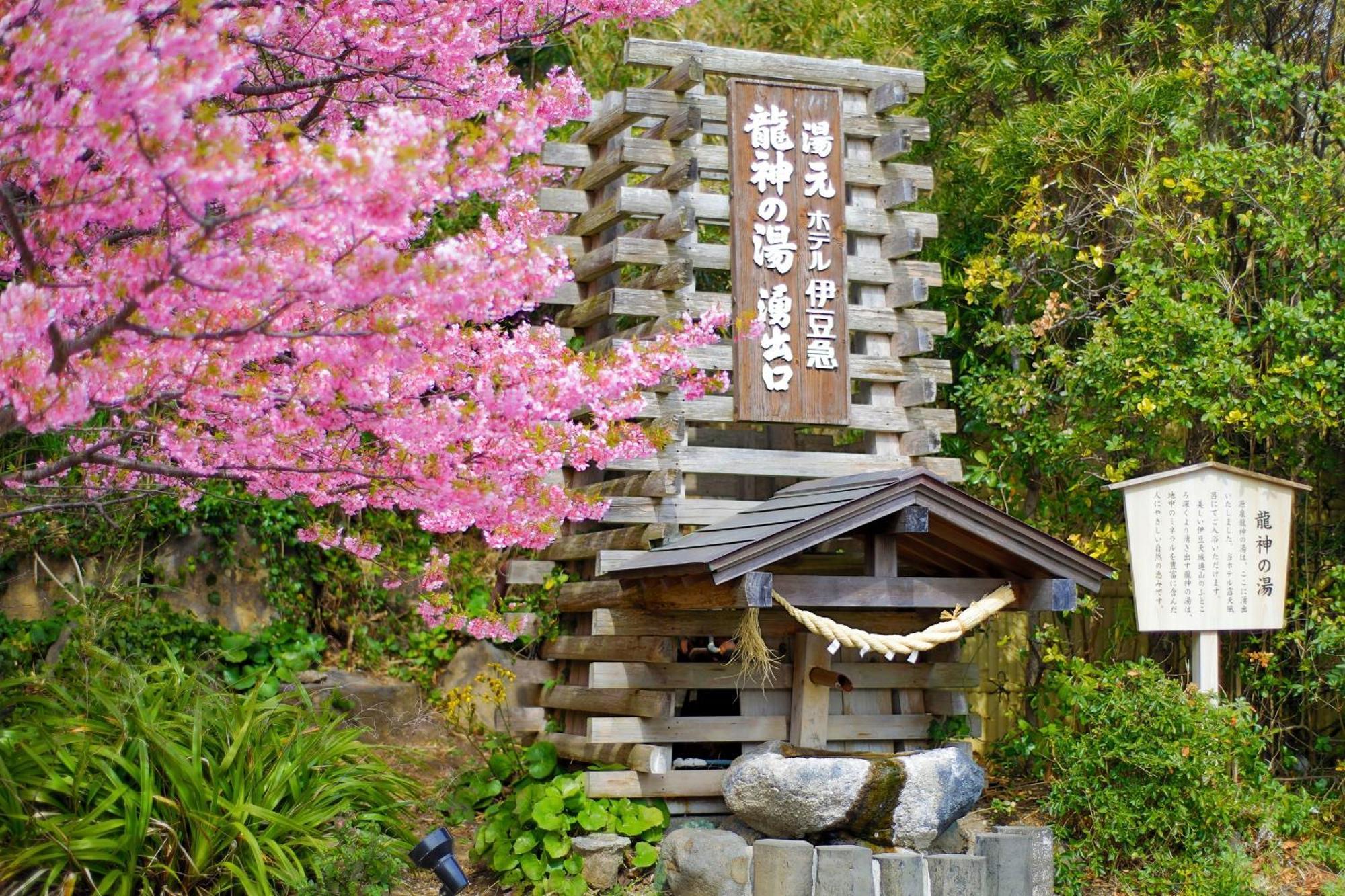 Hotel Izukyu Shizuoka Extérieur photo