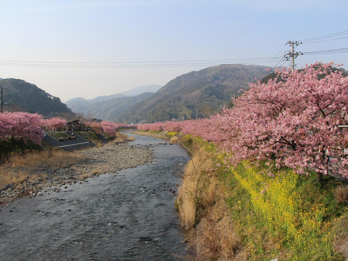 Hotel Izukyu Shizuoka Extérieur photo